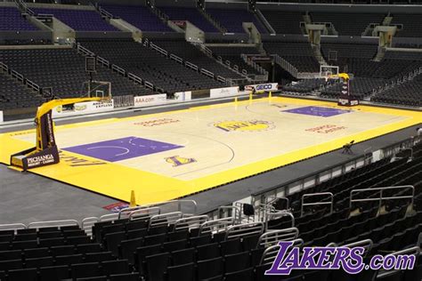 The New Lakers Court | Lakers, Best player, Los angeles lakers