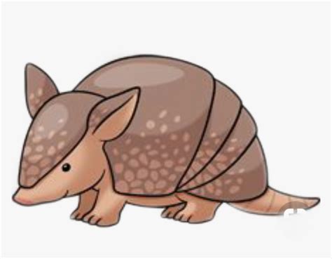 #armadillo - - Armadillo Drawing Easy, HD Png Download - kindpng