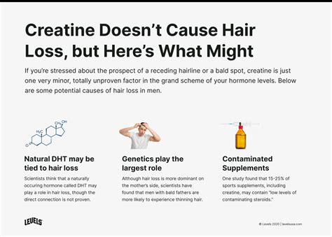 Creatine Causes Hair Loss: Myth or Fact? - Levels