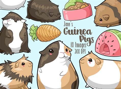 Kawaii Guinea Pigs Clipart By Digitalartsi | TheHungryJPEG.com