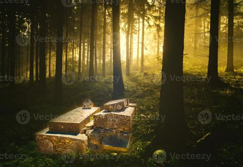 Old cemetery at night 8054119 Stock Photo at Vecteezy