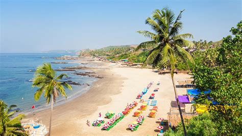 Cost Of Living in Goa for Students, Family Jul 2024