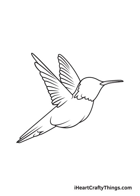 Hummingbird In Flight Drawing