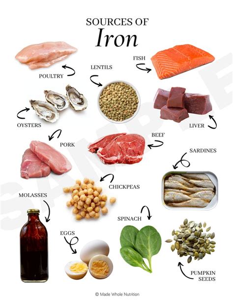 Sources of Iron Handout — Functional Health Research + Resources — Made ...