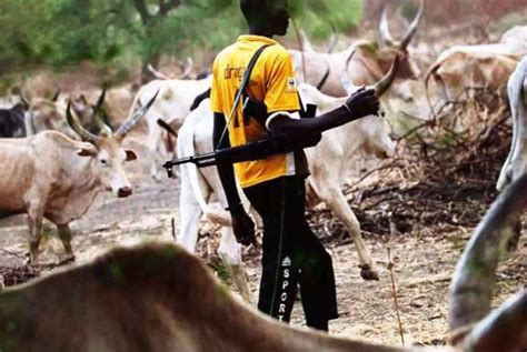 Fulani Herdsmen Attacks in Nigeria – Here’s All You Need To Know