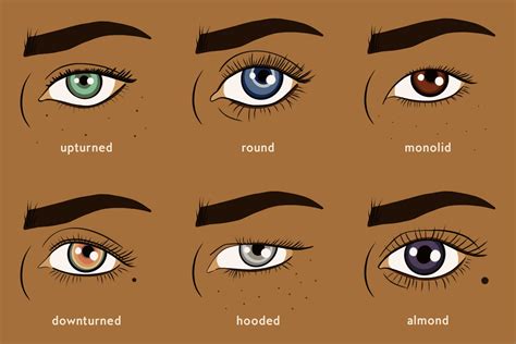 Eye Shapes and How to Apply Makeup for Each