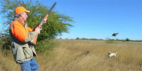 Scaled Quail Hunting - Texas Quail Hunting