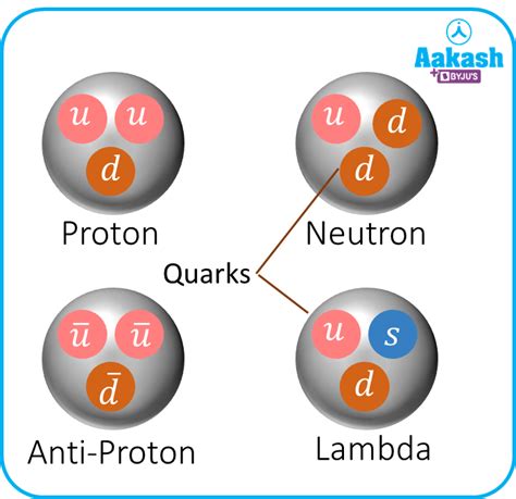 quark in physics: Definition, Types and Importance of quark | AESL