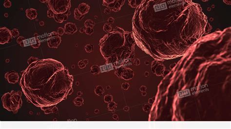 Abstract Red Virus Cells Under Microscope Stock Animation | 11509326