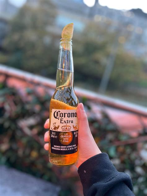 Corona Extra Beer Review - The Ultimate Entry Level Beer — OnlyCans