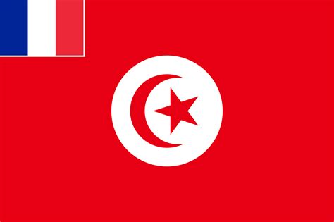 French protectorate of Tunisia | Flag art, France flag, Flag