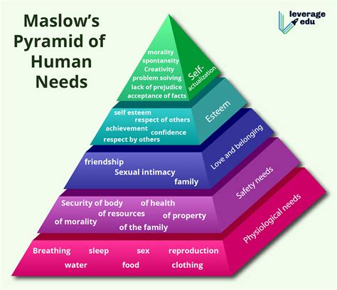 Explore Maslows Hierarchy Of Needs Maslows Hierarchy Of Needs | Porn ...