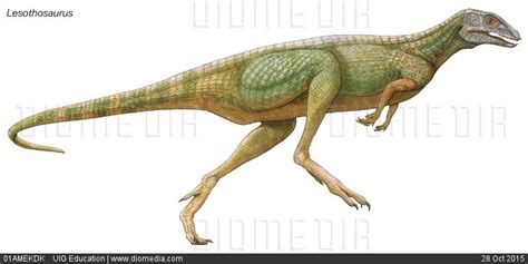 Lesothosaurus, Stock Images, Stock Photos, Herbivore, Commercial ...