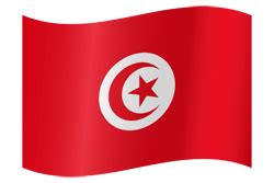 Flag Drapeau Tunisie Png - musingsofthemiddleschoolminds