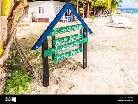 Starfish Beach panama Stock Photo - Alamy