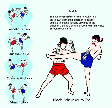 Muay Thai Techniques - All Muay Thai Moves at a Glance