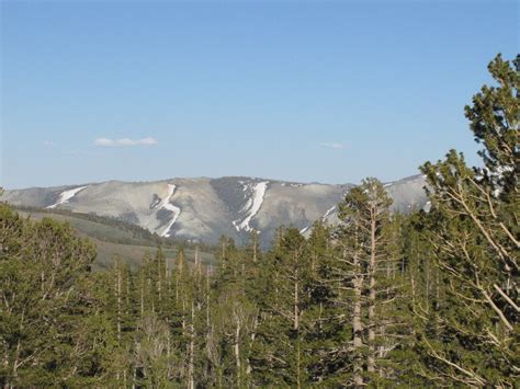 Sonora Pass Scenic Drive: Sonora to US 395 - California | AllTrails