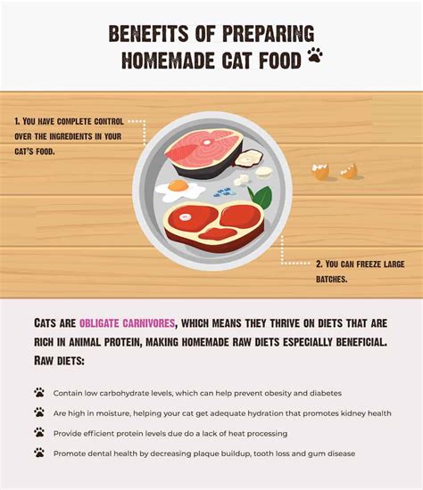 Best Wet Cat Food for Diabetic Cats: A Guide to Healthy Feline ...