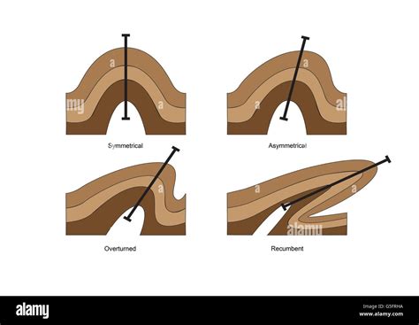 Diagrams of Geological folds Stock Photo - Alamy