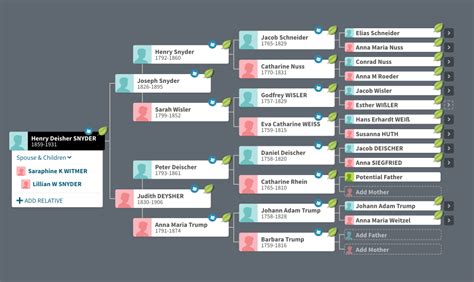 Update: 5 Tips to Get the Most Out of Your AncestryDNA Results – A ...