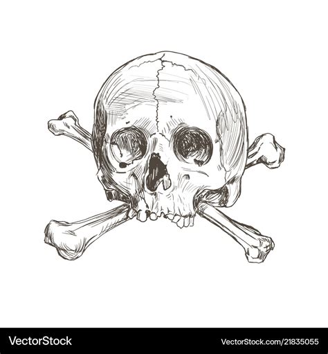 Hand drawing skull and bones Royalty Free Vector Image