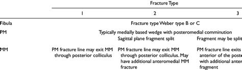 Classification of Fractures Involving the Tibialis Posterior Plafond ...