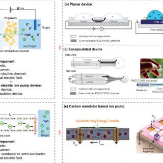 Electron-driven ion pumps. (a) Mechanism of organic electronics ion ...