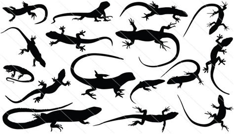 Lizard Silhouette Vector Graphics Download Lizard Vector | Silhouette ...