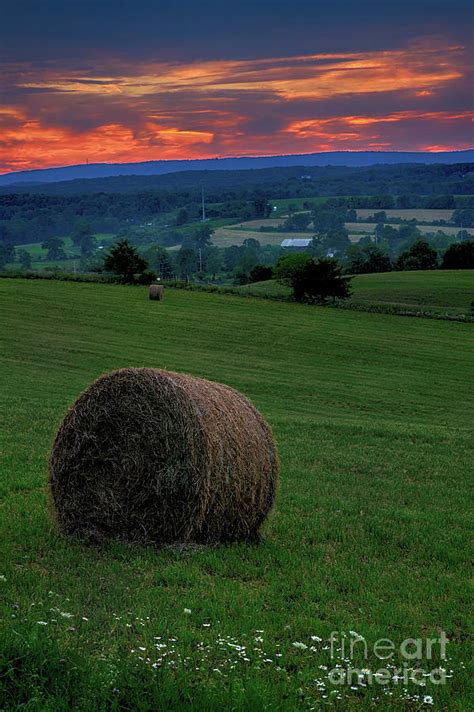 Hay Field Sunset Photograph by Nicki McManus - Fine Art America