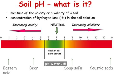 Soil Ph Chart For Plants