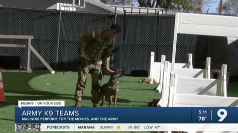 Malinois K9s perform for movies and U.S. Army