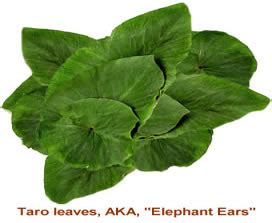 Taro Leaves and How to Use Them in Cooking