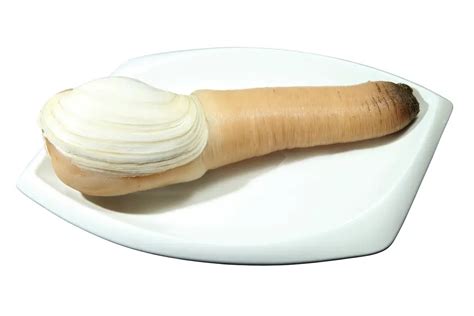 Sweet, Briny Geoduck Recipe – Alien Recipes