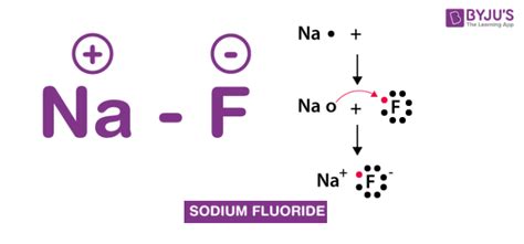 Chemical Structure Of Sodium Fluoride - Infoupdate.org