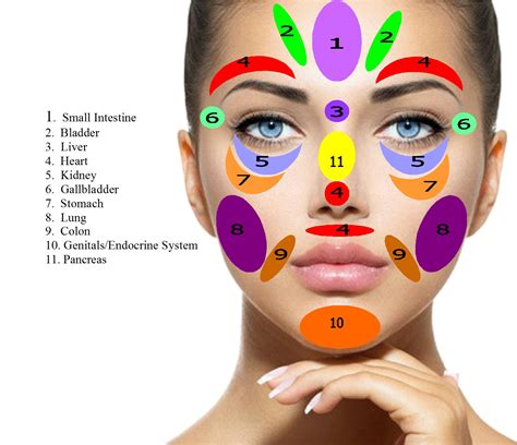 Face Reflexology Chart Pressure Points