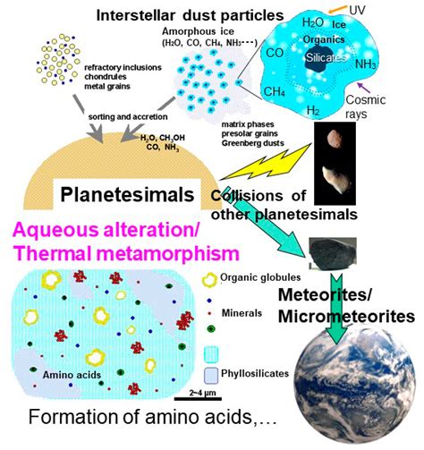 Origin and evolution of life pdf - buddylasopa