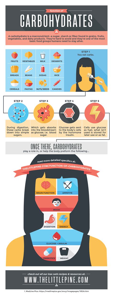 8 Functions of Carbohydrates in Our Bodies - The Little Pine