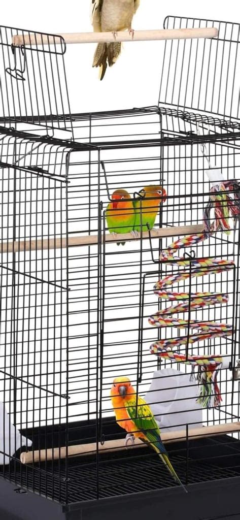 Budgie bird parrot cage | in Aspley, Nottinghamshire | Gumtree