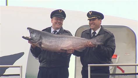 Ceremonial first fish of Copper River salmon season arrives