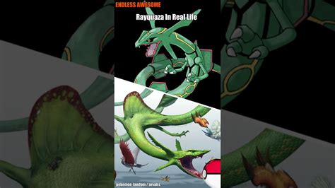 Real Life Rayquaza