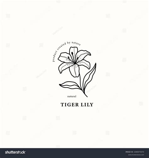 1,515,155 Lily Images, Stock Photos, and Vectors | Shutterstock