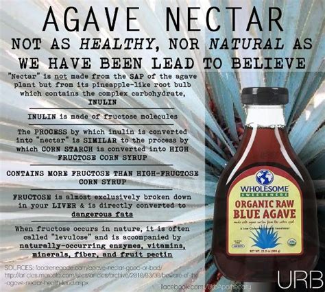 Back to the Basics!: Agave Nectar: Healthy Alternative or Poisonous ...