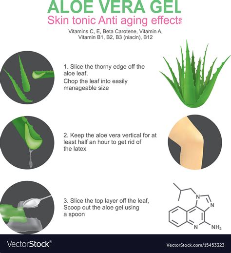 Aloe vera gel skin tonic Royalty Free Vector Image