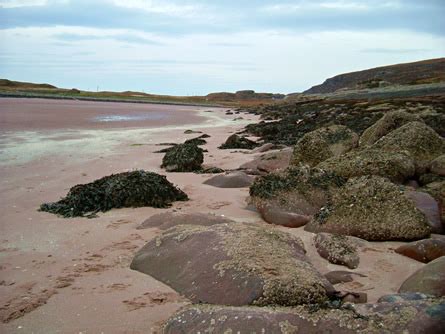 Coastal Shell Middens and Agricultural Origins in Atlantic Europe