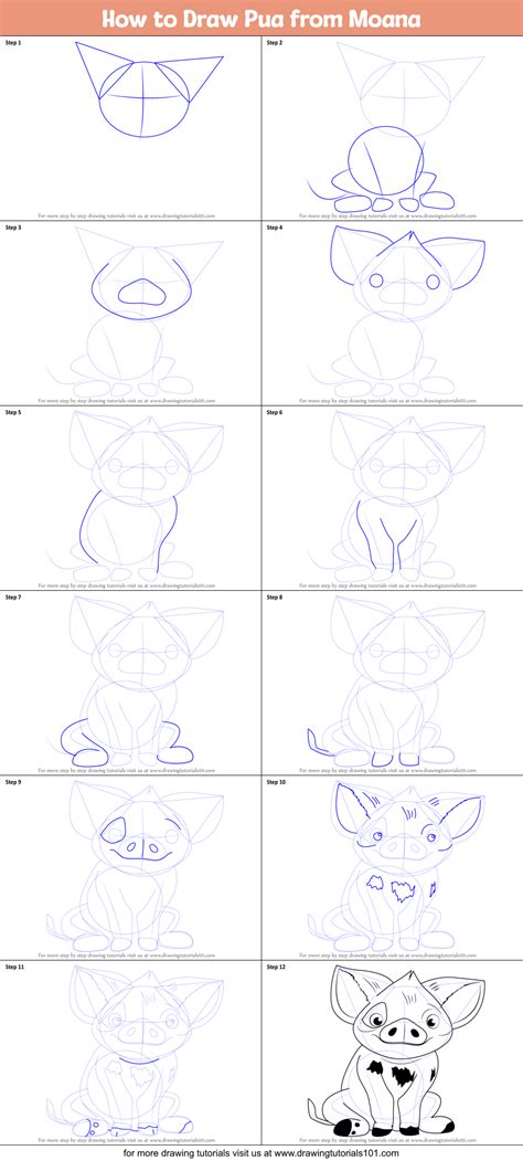 How to Draw Pua from Moana (Moana) Step by Step | DrawingTutorials101.com