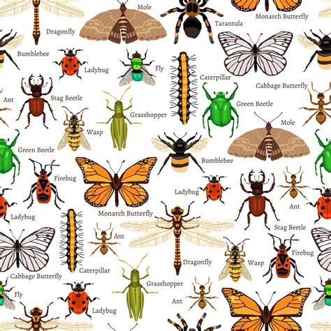 Insects Seamless Pattern 478228 Vector Art at Vecteezy