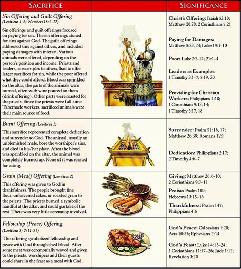 BCC Bible Plan: Levitical offerings and sacrifices