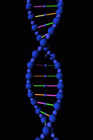 25 Great DNA Gif Animation Images - Best Animations