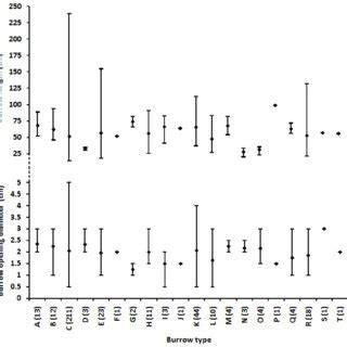 Mean opening diameter and length of ghost crab burrows. Vertical bars ...