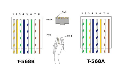 Cat5e Wiring Diagram Australia Cable A Cat 5 Connectors – Wiring Diagram